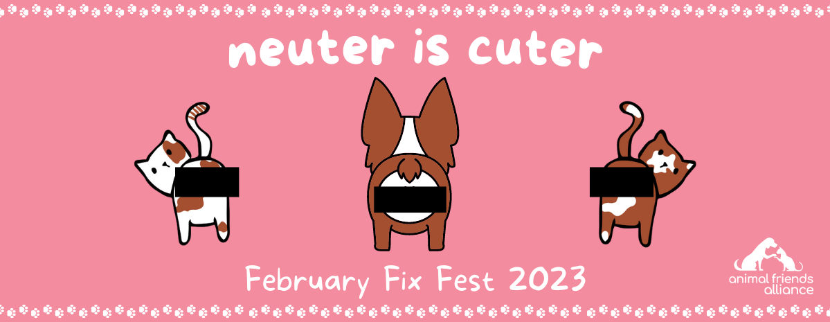 February Fix Fest 2023